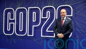 ‘Risk to post-Covid recovery if countries cannot buy emissions reductions’