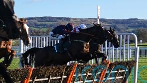 Jamie Snowden keen to see Datsalrightgino in Tolworth test
