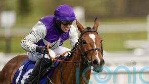 Cheltenham return in the offing for Mrs Milner