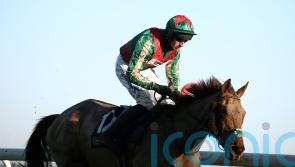 Scudamore pays tribute as Vieux Lion Rouge is retired