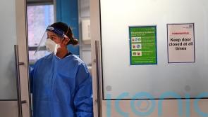 Worst of the pandemic is ‘absolutely behind us’, says vaccine scientist