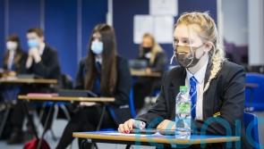 Rise in Omicron cases ‘almost inevitable’ when schools return, says expert