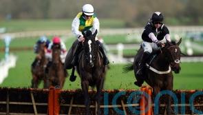 Hillcrest profiting from Hemmings’ patience