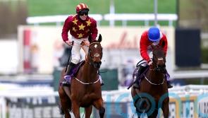 De Bromhead pair among 30 in Gold Cup reckoning