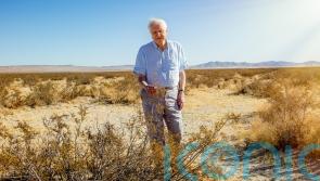 Sir David Attenborough on the world’s plant life: ‘We better jolly well care for it’
