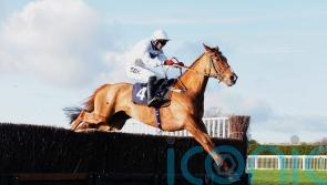 Red Rookie opens chase account with Hereford verdict
