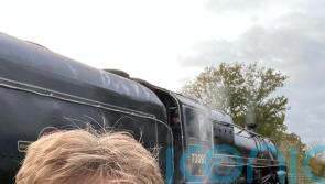 ‘Joy personified’ TikTok trainspotter signs with global talent agency