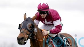 Tiger Roll team undecided on Cheltenham Festival date