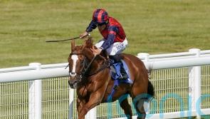 Nuits St Georges joins De Bromhead team for hurdles career