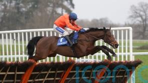 Adagio back in training after minor setback