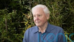 Sir David Attenborough hails ‘revolution’ in global attitudes towards plants