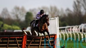 Cheltenham run not completely dismissed for Stage Star