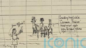 Incredible ‘cannon fodder’ cartoon found in 1921 census predicted ‘next war’
