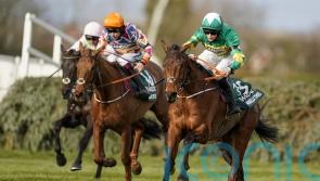 National runner-up Balko Des Flos out for remainder of season