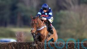 O’Brien full of hope for Final Nudge in veterans’ final