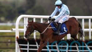 Gauloise following hoofprints of Laurina on Sandown mission