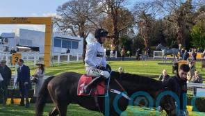 Constitution Hill bidding to back up standout debut performance