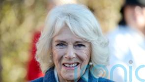 Camilla plays book fairy and leaves publications for people to find