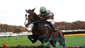 Champion Hurdle poser for Tommy&rsquo;s Oscar team