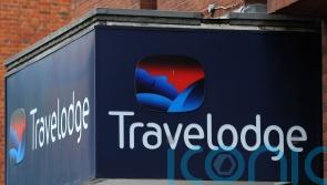 Items left behind by guests at Travelodge hotels include a dog called Beyoncé