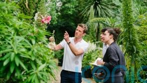 New Year, new gardening course: We round up the best for 2022