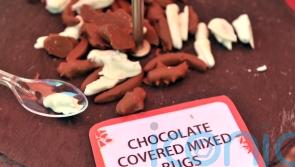 Insects and lab-grown meat on the menu for some, survey suggests