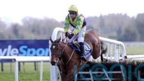 Hanlon hoping Skyace will be fit for Festival bid