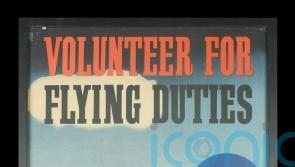 Medals awarded to RAF ‘poster boy’ to be auctioned