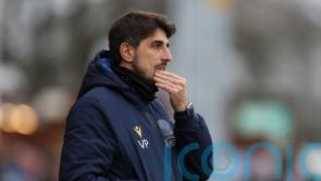 Reading boss Veljko Paunovic without several players for visit of Fulham