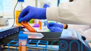 Skin cancer test will ‘reassure’ patients at less risk of disease spreading