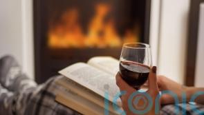 7 fireside reds to cosy up with and blow away the January blues