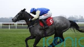 Silver Shade enters Triumph Hurdle reckoning