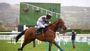 Bob Olinger takes centre stage at Punchestown