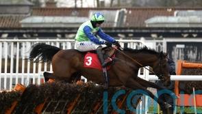 Fry will steer clear of Cheltenham with Ree Okka