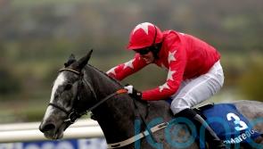 Champion Chase could tempt connections of Dunvegan
