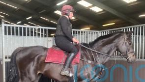 Nicky Martin to bide her time with stable star Bear Ghylls
