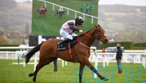Bob Olinger sparkles with Punchestown verdict