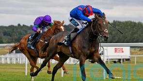 Dubious Affair poised for Meydan return