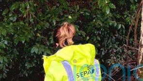 River pollution clean up under way amid concerns for wildlife