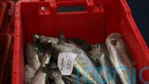 Fishermen raise concerns over new offshore wind projects