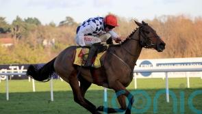 Gordon Elliott still favouring direct Festival route for Galvin