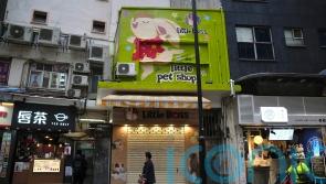 Hong Kong to cull 2,000 animals after hamsters get Covid-19