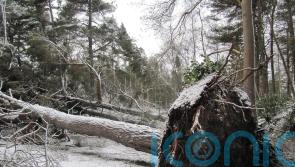 Kwarteng: Storm Arwen response was ‘reasonable’ but long power cuts unacceptable