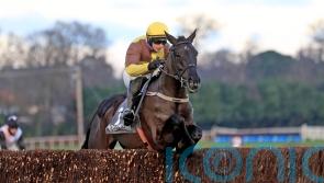 Galopin Des Champs features among Festival contenders