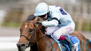 York seeks to rename Duke of York Stakes to distance from Andrew