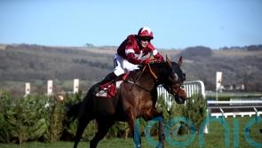 Tiger Roll given entry over hurdles at Navan