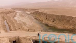 Afghanistan&rsquo;s unemployment rate soars in wake of Taliban takeover