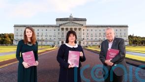 Enacting mother and baby home proposals will take ‘sustained period of time’