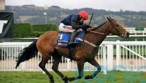 Geraghty and Henderson pay tribute to ‘absolute legend’ Bobs Worth