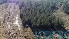 &pound;1m funding to restore ancient Border Mires for nature and carbon storage